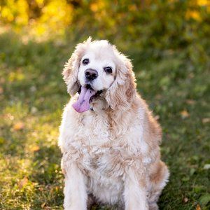 Meet your Posher, Xiaoli